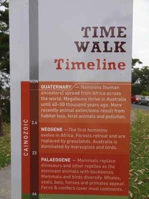 Gondwana Coast Time Walk