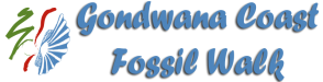 Gondwana Fossil Walk