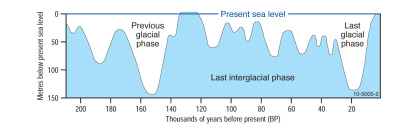 Last interglacial phase